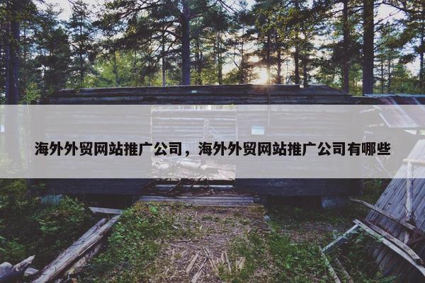 海外外贸网站推广公司，海外外贸网站推广公司有哪些
