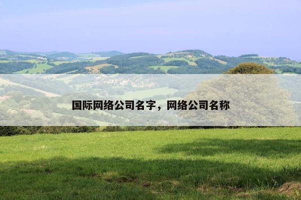 国际网络公司名字，网络公司名称