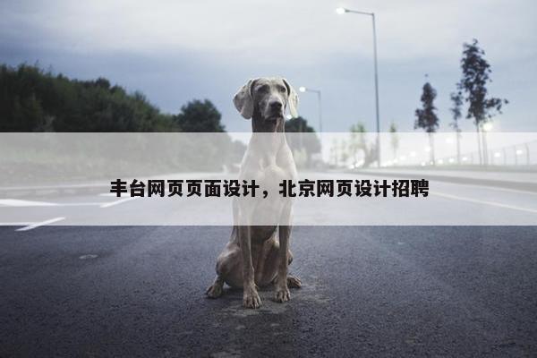 丰台网页页面设计，北京网页设计招聘