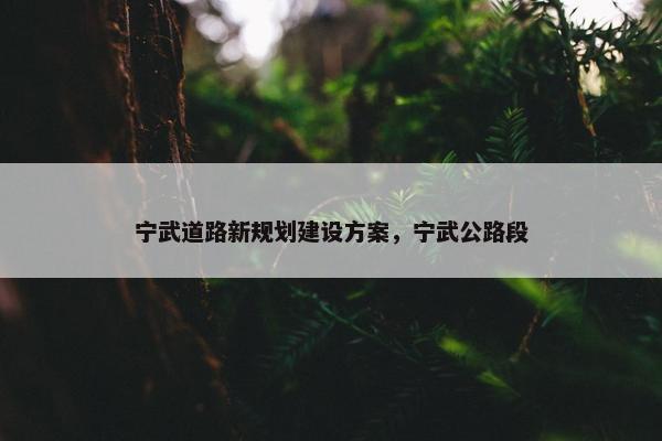 宁武道路新规划建设方案，宁武公路段