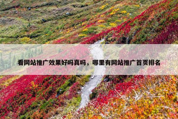 看网站推广效果好吗真吗，哪里有网站推广首页排名