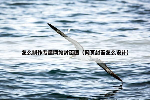 怎么制作专属网站封面图（网页封面怎么设计）