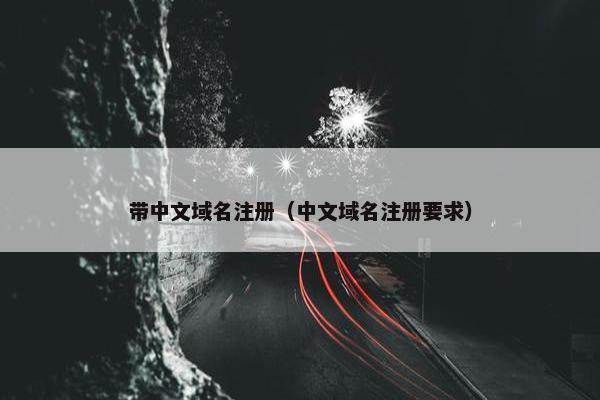 带中文域名注册（中文域名注册要求）