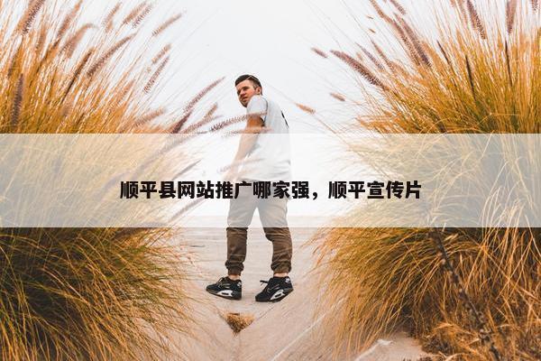 顺平县网站推广哪家强，顺平宣传片
