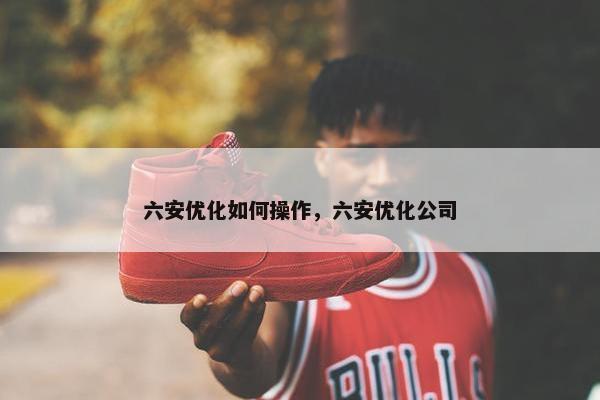 六安优化如何操作，六安优化公司