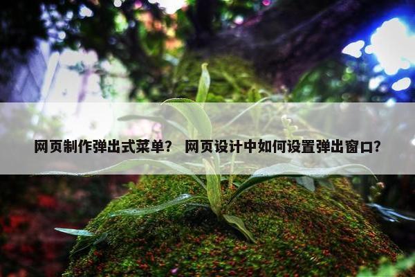网页制作弹出式菜单？ 网页设计中如何设置弹出窗口？