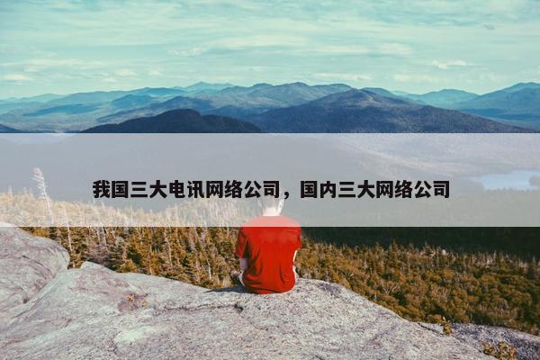 我国三大电讯网络公司，国内三大网络公司
