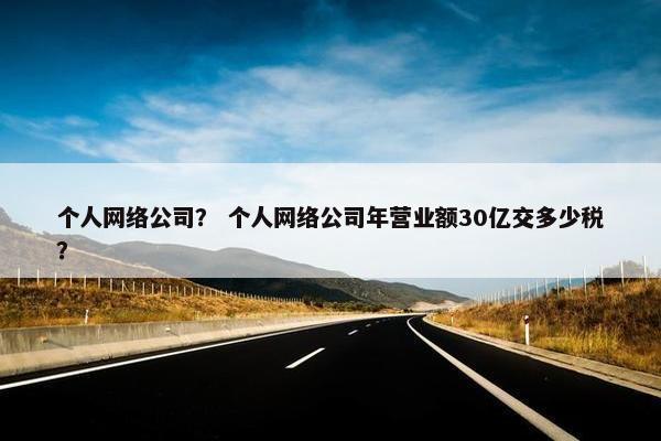 个人网络公司？ 个人网络公司年营业额30亿交多少税？
