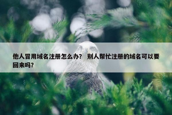 他人冒用域名注册怎么办？ 别人帮忙注册的域名可以要回来吗？