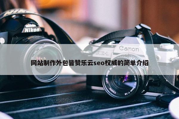 网站制作外包皆赞乐云seo权威的简单介绍