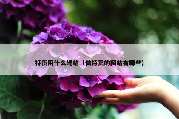 特货用什么建站（做特卖的网站有哪些）