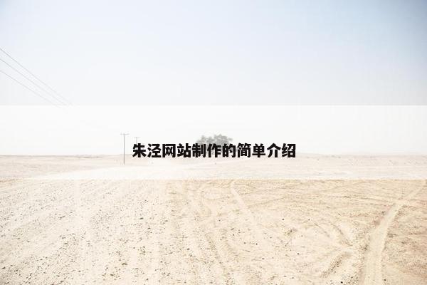 朱泾网站制作的简单介绍