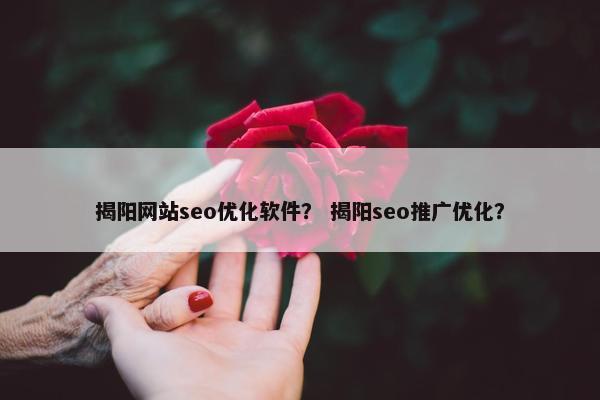 揭阳网站seo优化软件？ 揭阳seo推广优化？