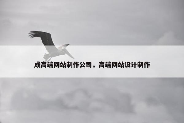 成高端网站制作公司，高端网站设计制作