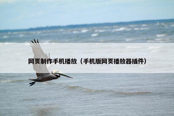 网页制作手机播放（手机版网页播放器插件）