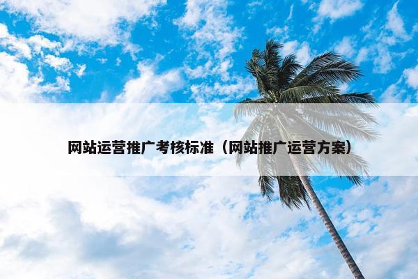网站运营推广考核标准（网站推广运营方案）