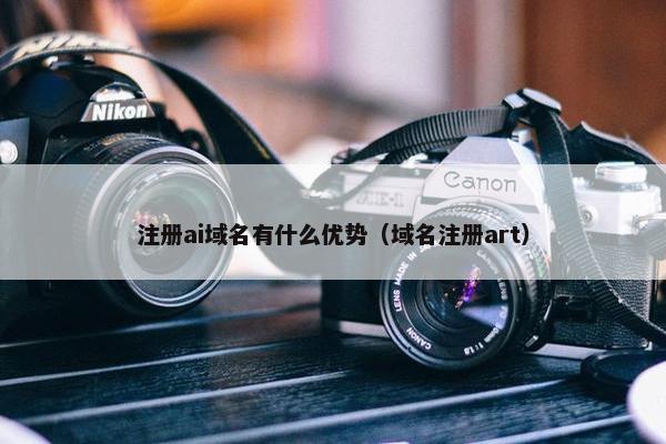 注册ai域名有什么优势（域名注册art）