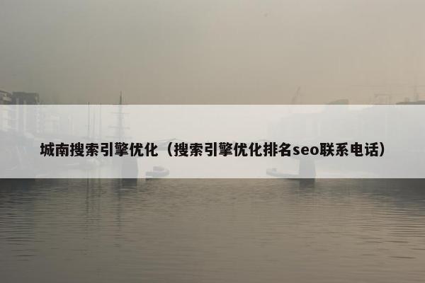 城南搜索引擎优化（搜索引擎优化排名seo联系电话）