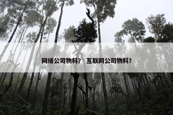 网络公司物料？ 互联网公司物料？