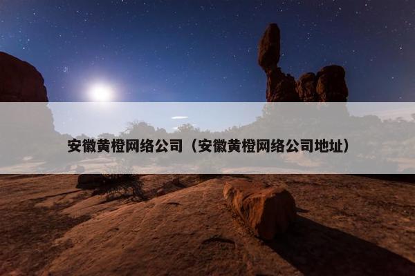 安徽黄橙网络公司（安徽黄橙网络公司地址）