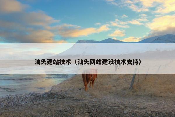 汕头建站技术（汕头网站建设技术支持）