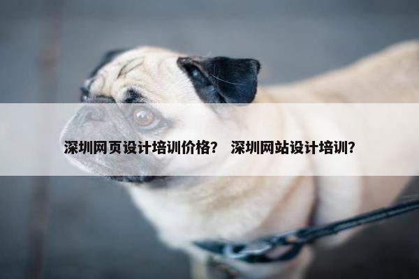 深圳网页设计培训价格？ 深圳网站设计培训？