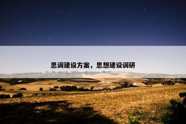 思调建设方案，思想建设调研