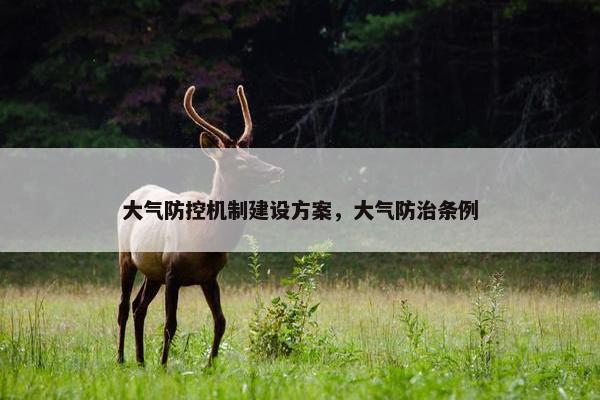 大气防控机制建设方案，大气防治条例