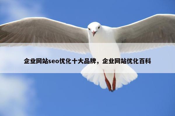 企业网站seo优化十大品牌，企业网站优化百科