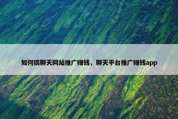 如何搞聊天网站推广赚钱，聊天平台推广赚钱app