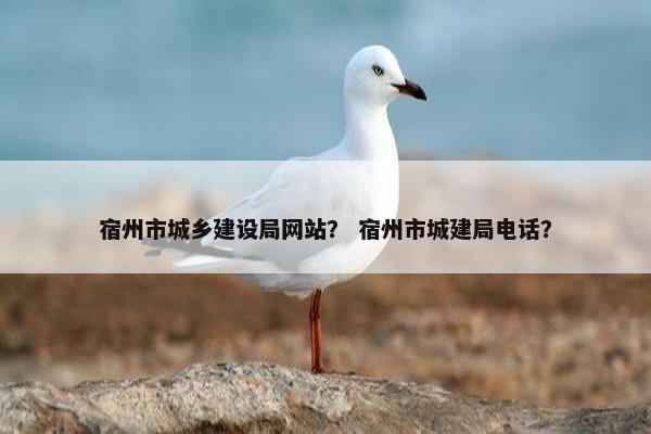 宿州市城乡建设局网站？ 宿州市城建局电话？