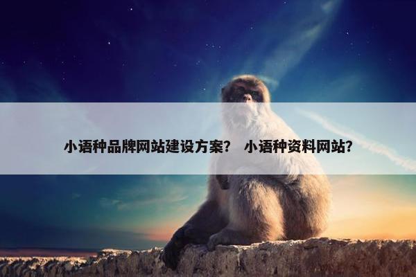 小语种品牌网站建设方案？ 小语种资料网站？