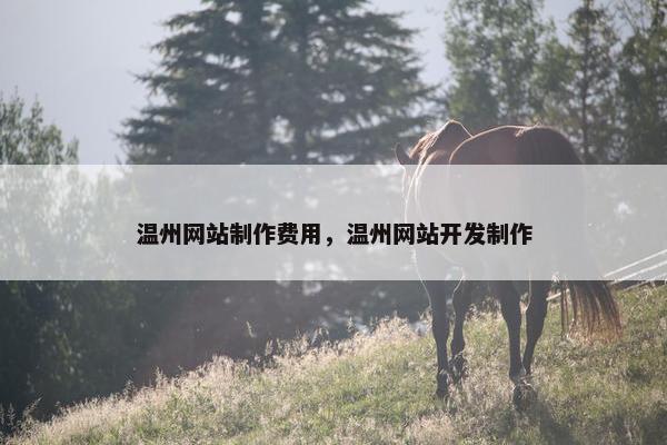 温州网站制作费用，温州网站开发制作