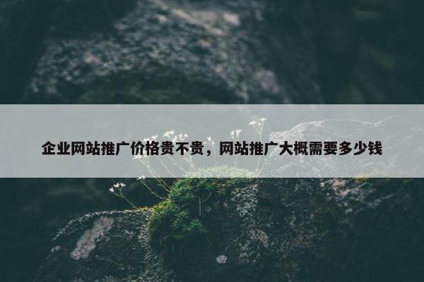 企业网站推广价格贵不贵，网站推广大概需要多少钱