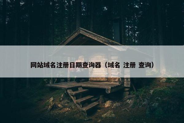 网站域名注册日期查询器（域名 注册 查询）
