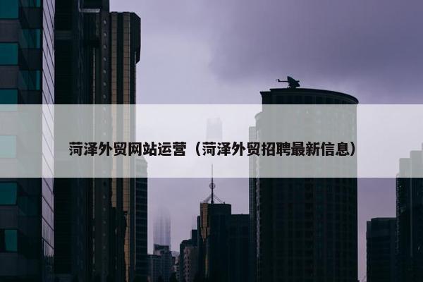 菏泽外贸网站运营（菏泽外贸招聘最新信息）