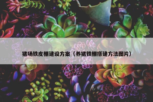 猪场铁皮棚建设方案（养猪铁棚搭建方法图片）