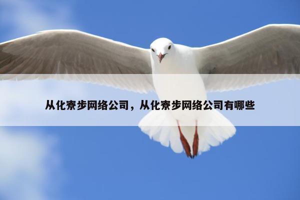 从化寮步网络公司，从化寮步网络公司有哪些