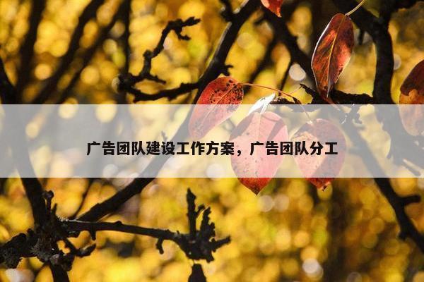 广告团队建设工作方案，广告团队分工