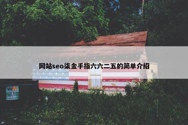 网站seo柒金手指六六二五的简单介绍
