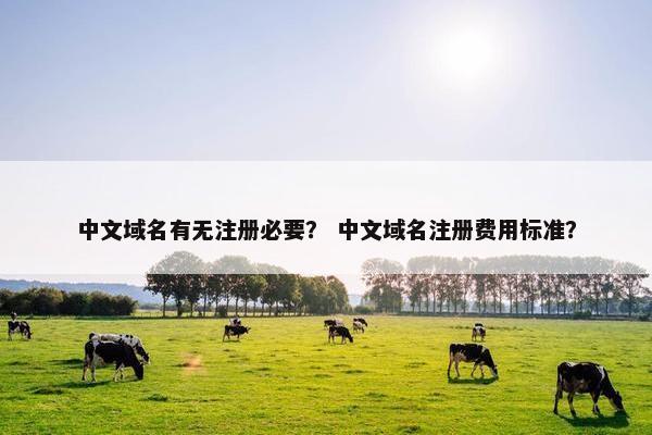中文域名有无注册必要？ 中文域名注册费用标准？