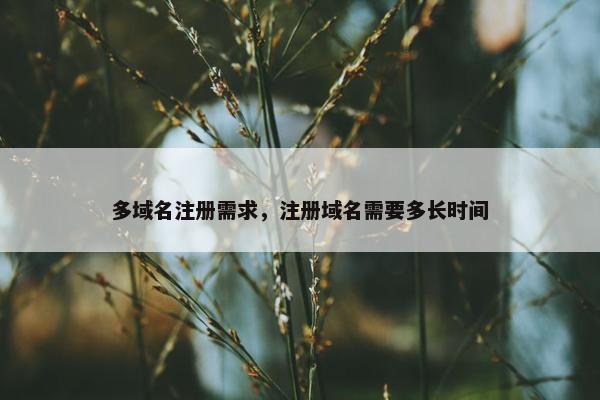 多域名注册需求，注册域名需要多长时间