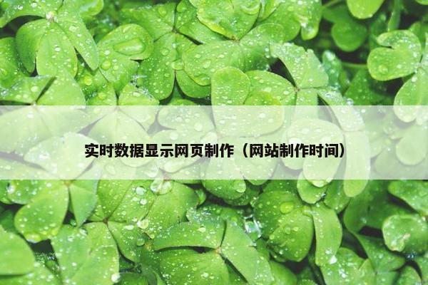 实时数据显示网页制作（网站制作时间）