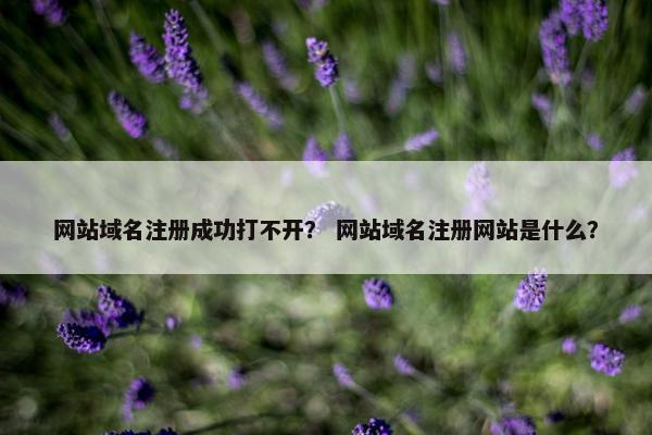 网站域名注册成功打不开？ 网站域名注册网站是什么？