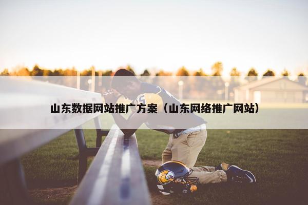 山东数据网站推广方案（山东网络推广网站）