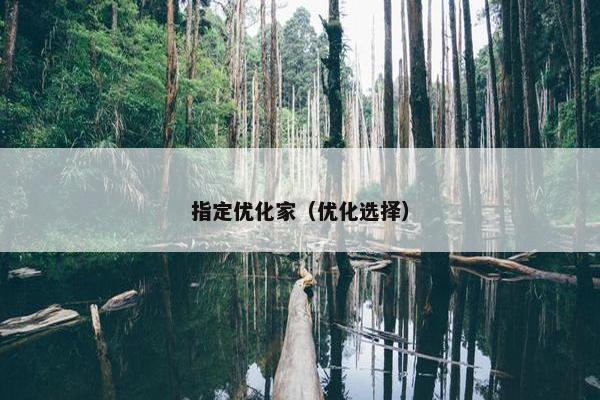 指定优化家（优化选择）