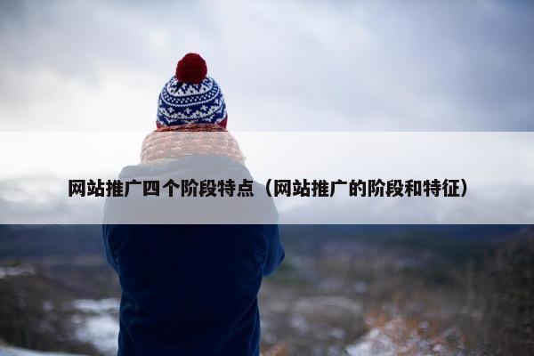 网站推广四个阶段特点（网站推广的阶段和特征）