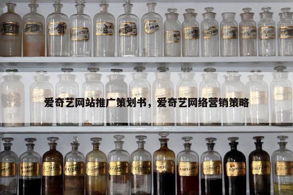 爱奇艺网站推广策划书，爱奇艺网络营销策略