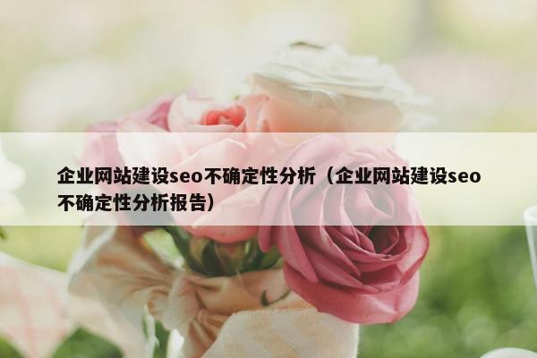 企业网站建设seo不确定性分析（企业网站建设seo不确定性分析报告）