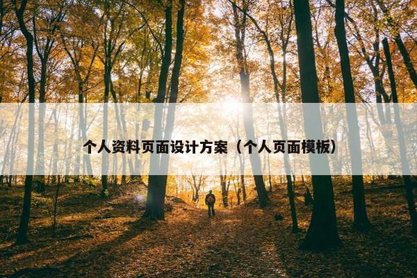 个人资料页面设计方案（个人页面模板）